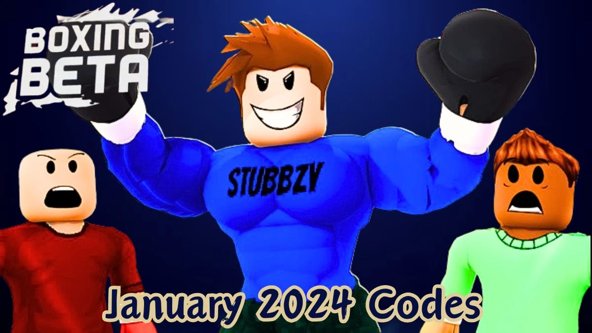Boxing Beta Codes for January 2024