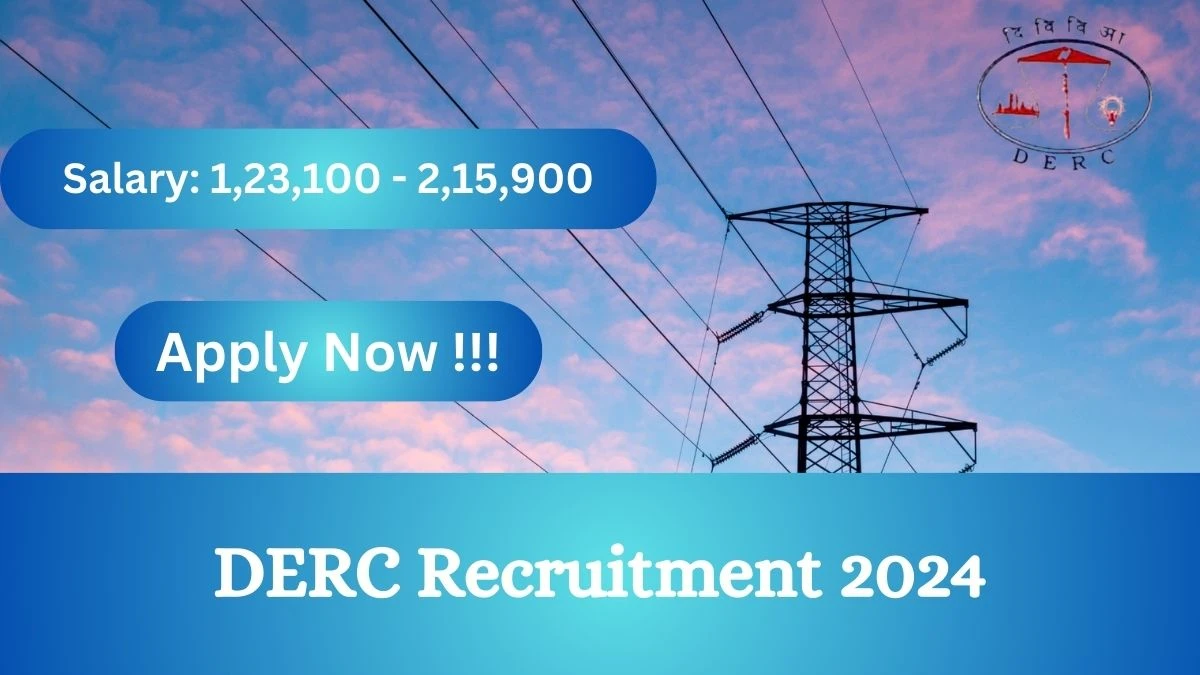 DERC Recruitment 2024 Notification for Joint Director Vacancy 2 posts at derc.gov.in