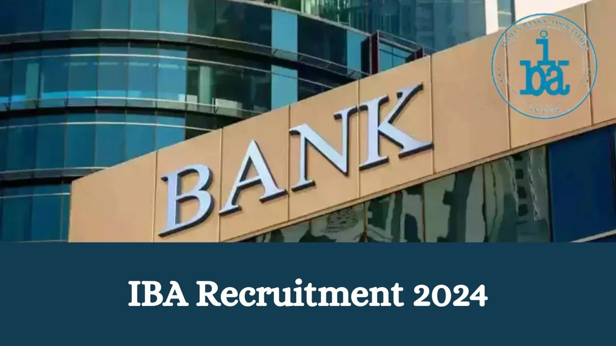 IBA Recruitment 2024: Check Vacancies for Senior Advisor Job Notification, Apply Online