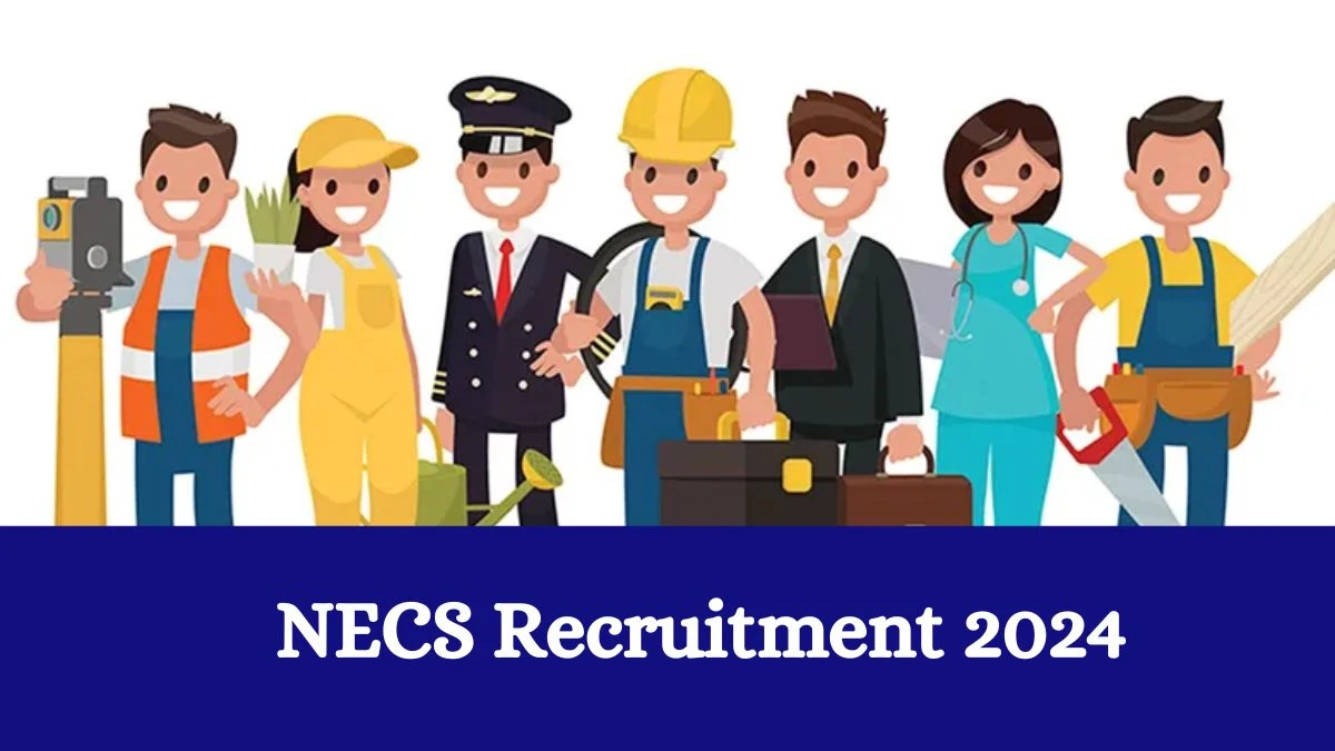 NECS Recruitment 2024 Notification for Consultant, Support Staff Vacancy 3 posts at necouncil.gov.in