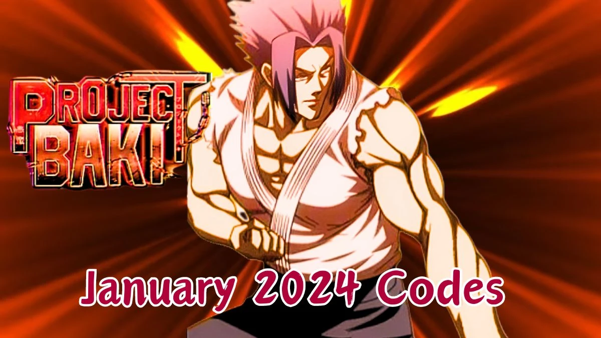 Project Baki 3 Codes for January 2024