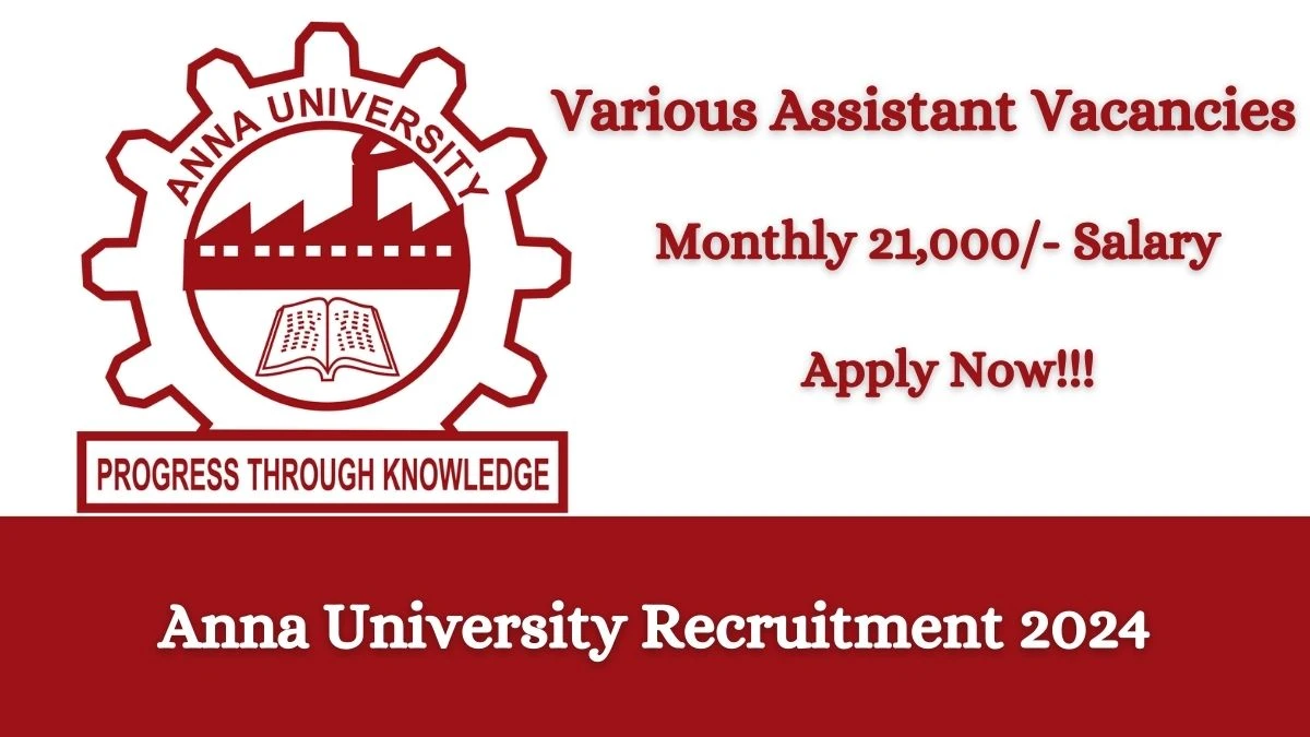Anna University Recruitment 2024: Check Vacancies for Research Assistant Job Notification, Apply Online
