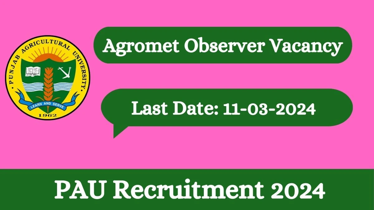 Apply for PAU Recruitment 2024 Agromet Observer Notification 23 Feb 2024