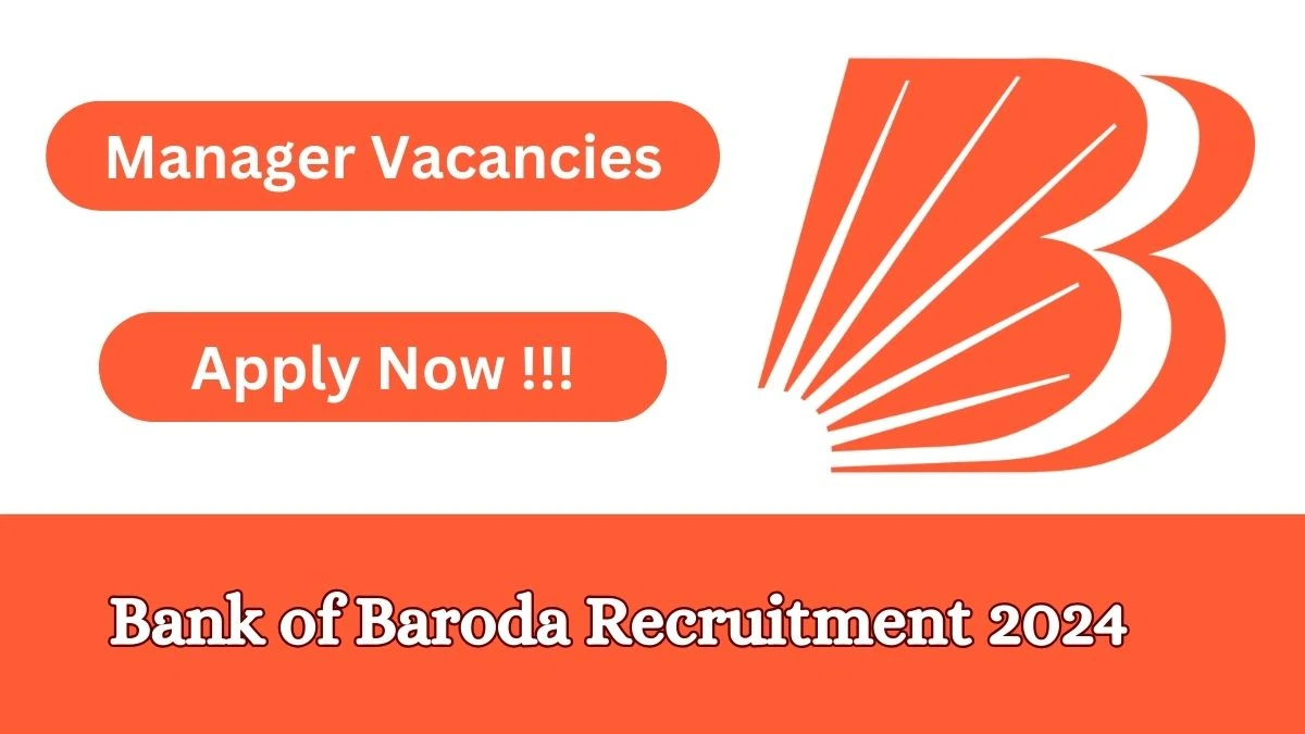 Bank of Baroda Recruitment 2024: Check Vacancies for Manager, Senior Manager Job Notification, Apply Online