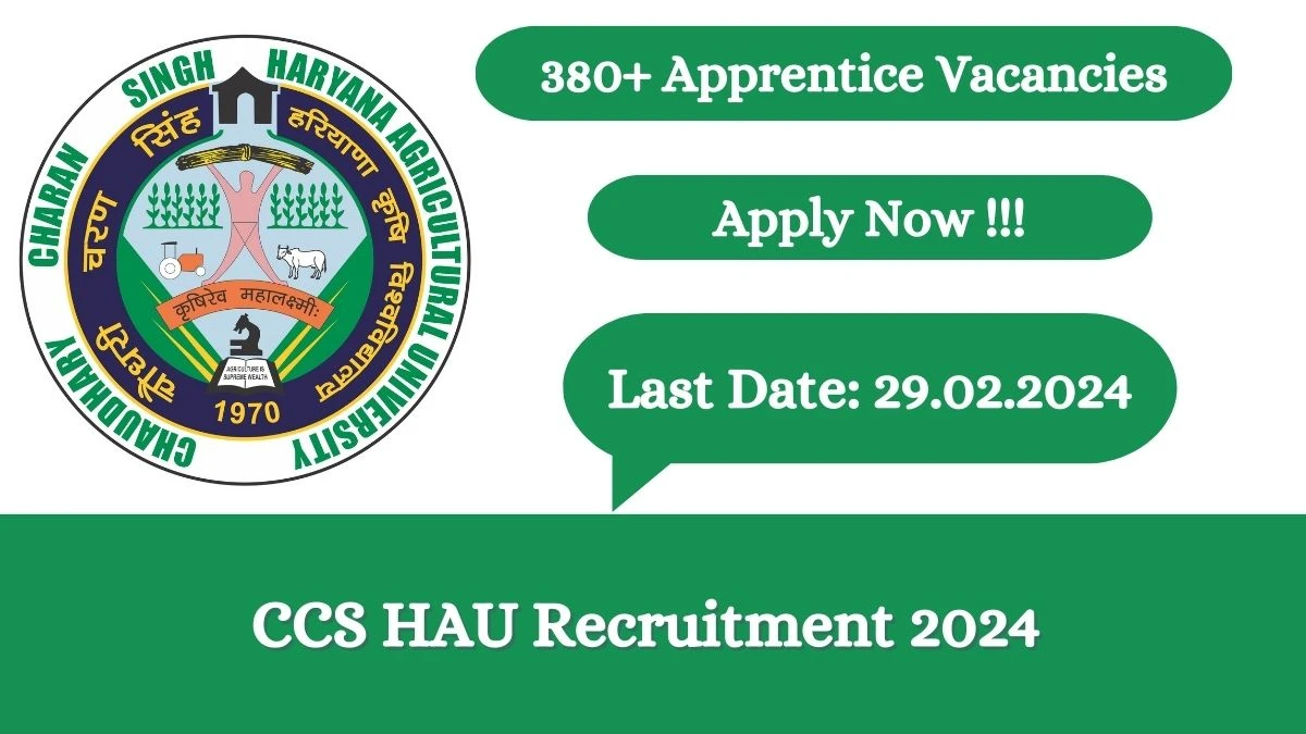 CCS HAU Recruitment 2024 Notification for Trade Apprentice Vacancy 382 posts at hau.ac.in