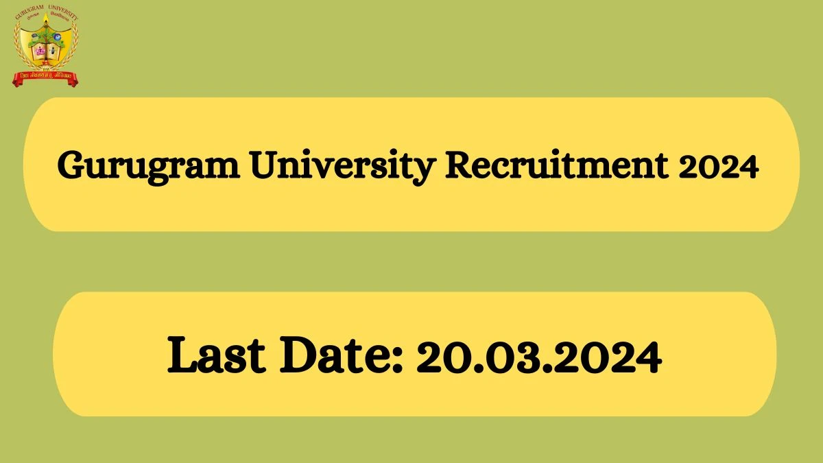 Gurugram University Recruitment 2024: Check Vacancies for Assistant Professor or Assistant Librarian Job Notification, Apply Online