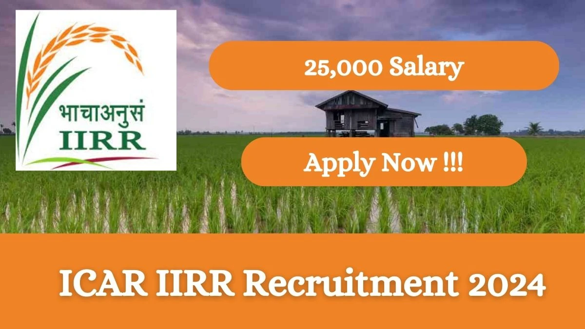 ICAR IIRR Recruitment 2024: Check Vacancies for Young Professional I Job Notification, Apply Online