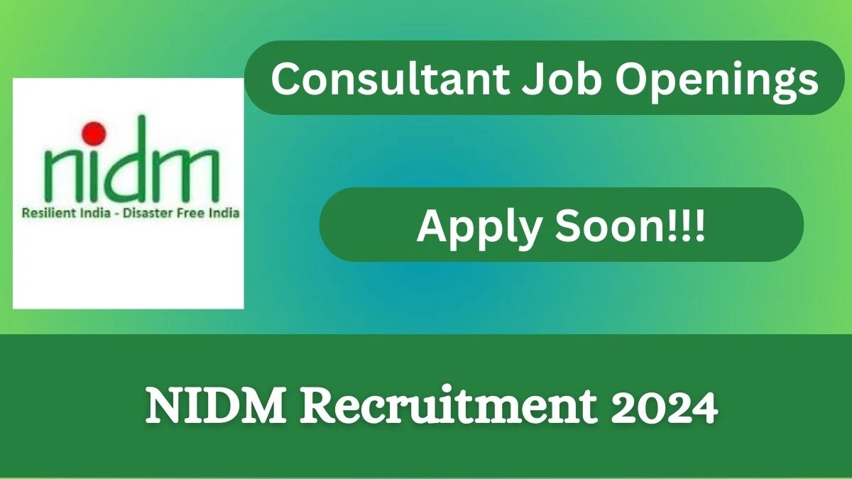 NIDM Recruitment 2024: Check Vacancies for Consultant Job Notification, Apply Online