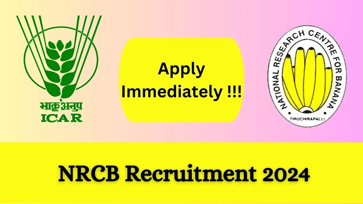 NRCB Recruitment 2024: Check Vacancies for Senior Research Fellow Job Notification, Apply Online