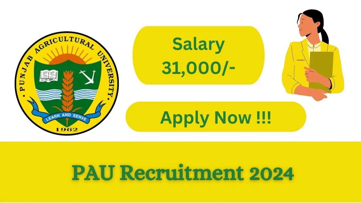 PAU Recruitment 2024 Notification for Junior Research Fellow Vacancy 01 posts at pau.edu