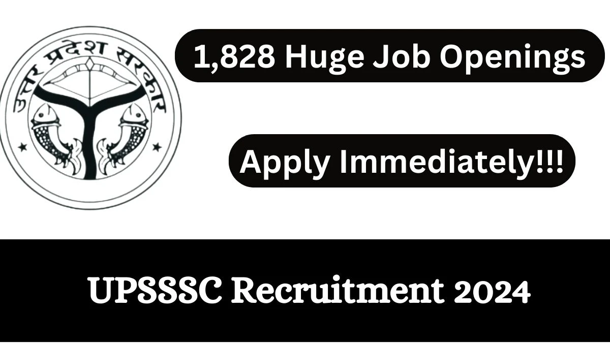 UPSSSC Recruitment 2024 Notification for Assistant Accountant and Auditor Vacancy 1,828 posts at uppsssc.gov.in