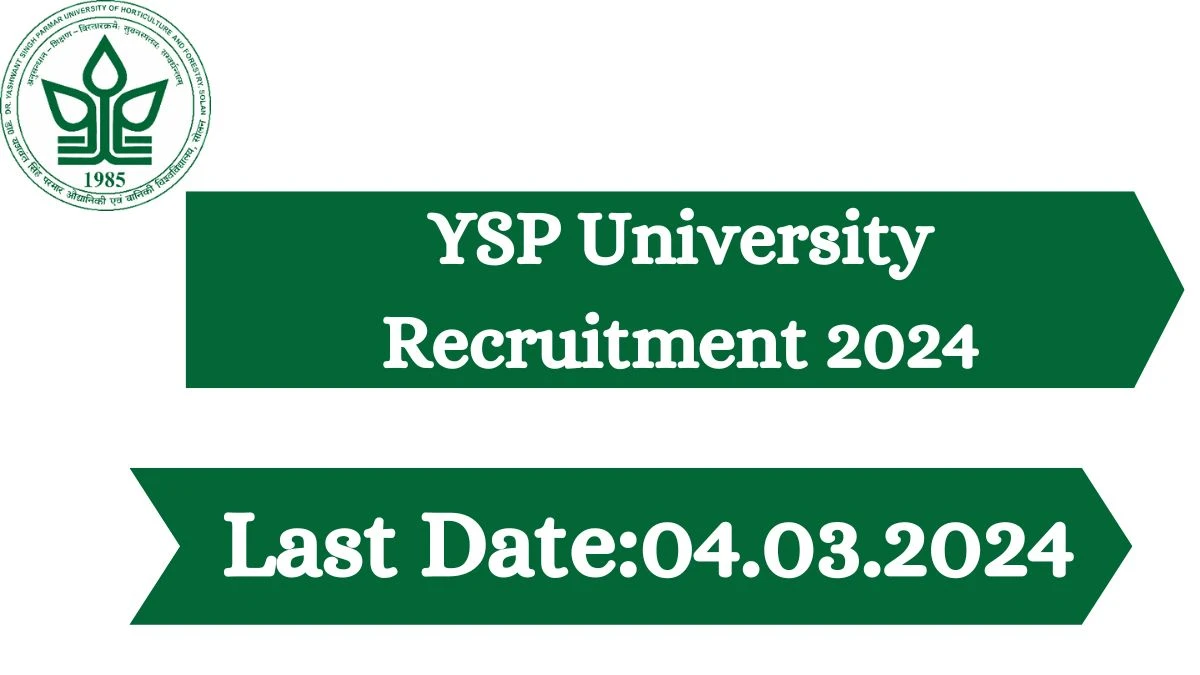 YSP University Recruitment 2024 Check Vacancies for Young Professional Job Notification