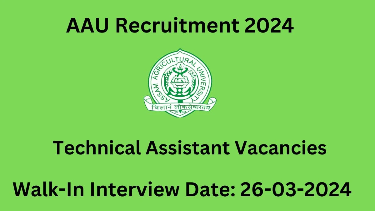 AAU Recruitment 2024  Walk-In Interviews for Technical Assistant on 26-03-2024