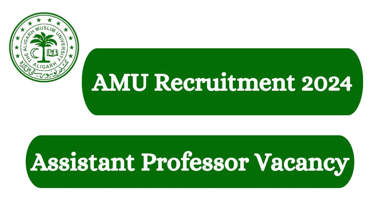 AMU Recruitment 2024: Check Vacancies for Assistant Professor Job Notification, Apply Online