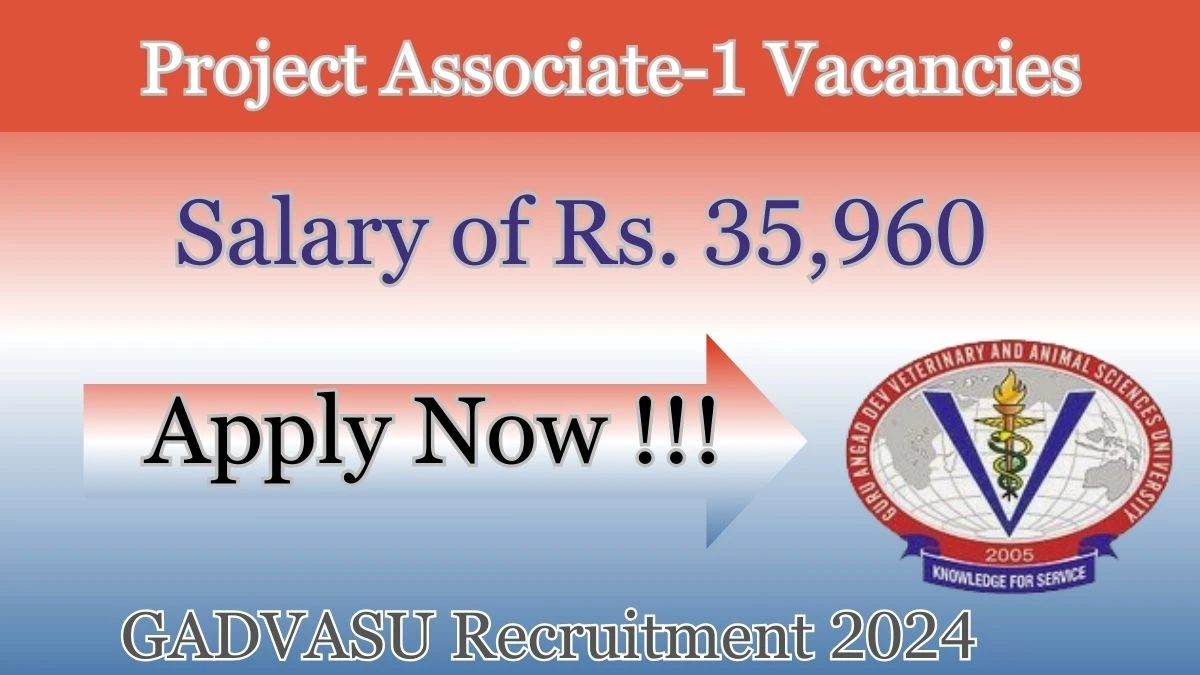 GADVASU Project Associate-1 Recruitment 2024 - Monthly Salary Up to 35,960