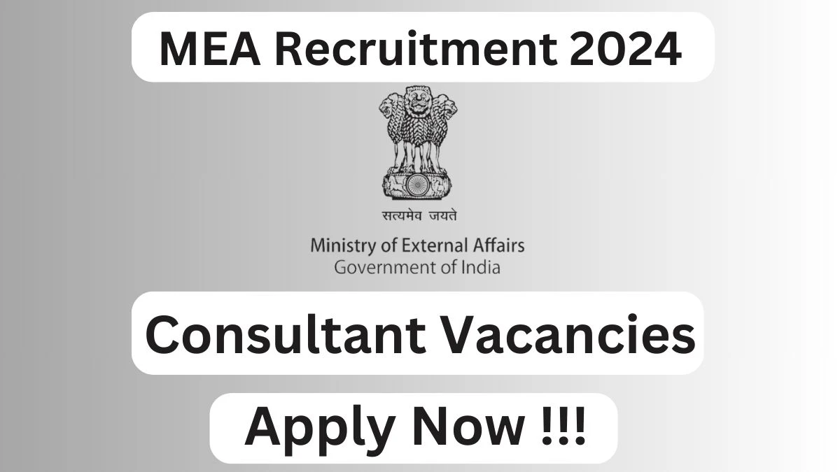 MEA Recruitment 2024: Check Vacancies for Consultant Job Notification