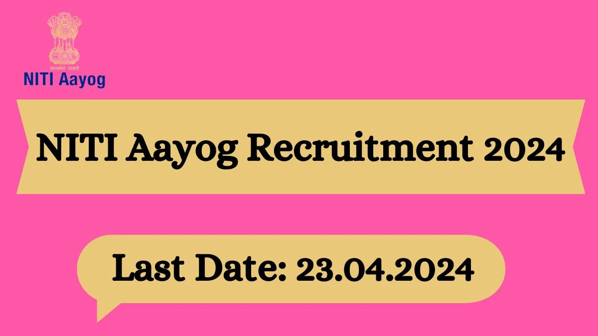 NITI Aayog Recruitment 2024 Notification for Senior Adviser, Adviser Vacancy at niti.gov.in