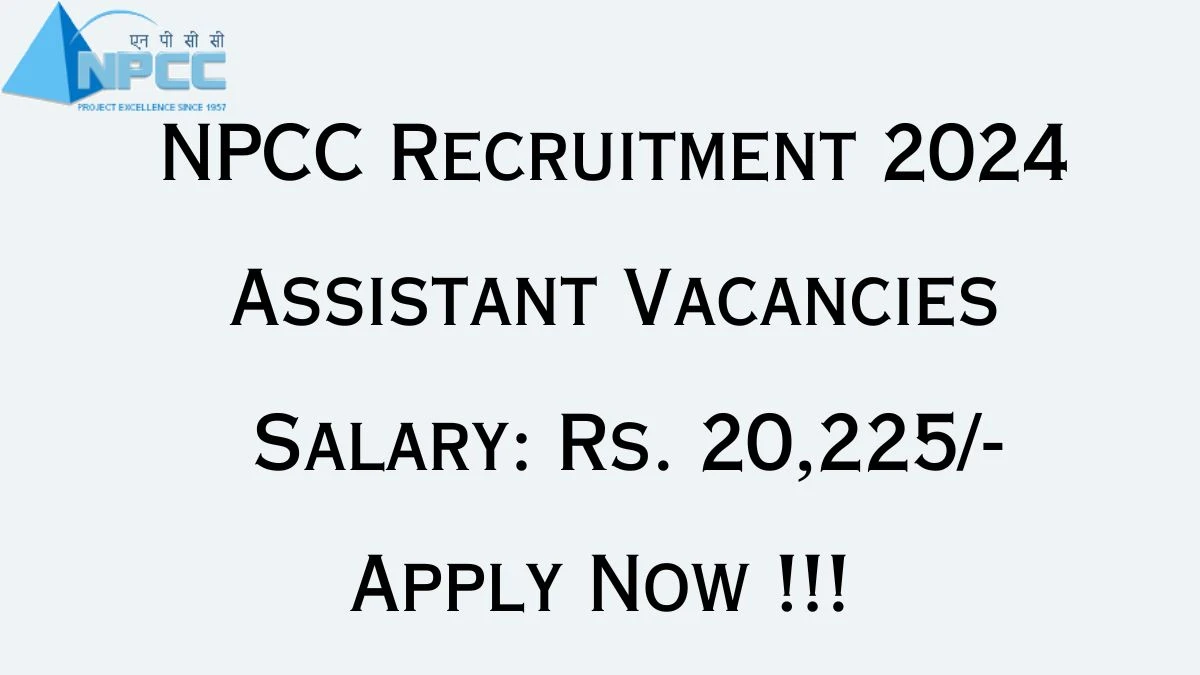 NPCC Recruitment 2024 Notification for Assistant Vacancy 1 posts at npcc.gov.in