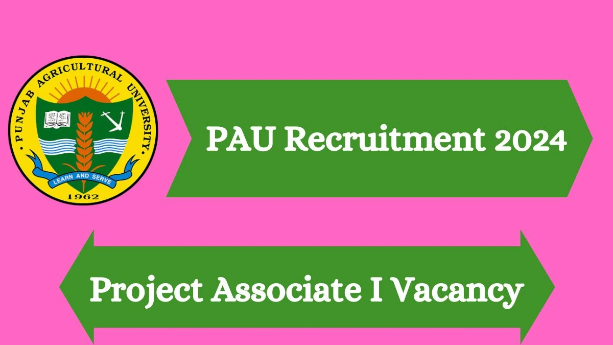 PAU Recruitment 2024 Notification for Project Associate Vacancy posts at pau.edu
