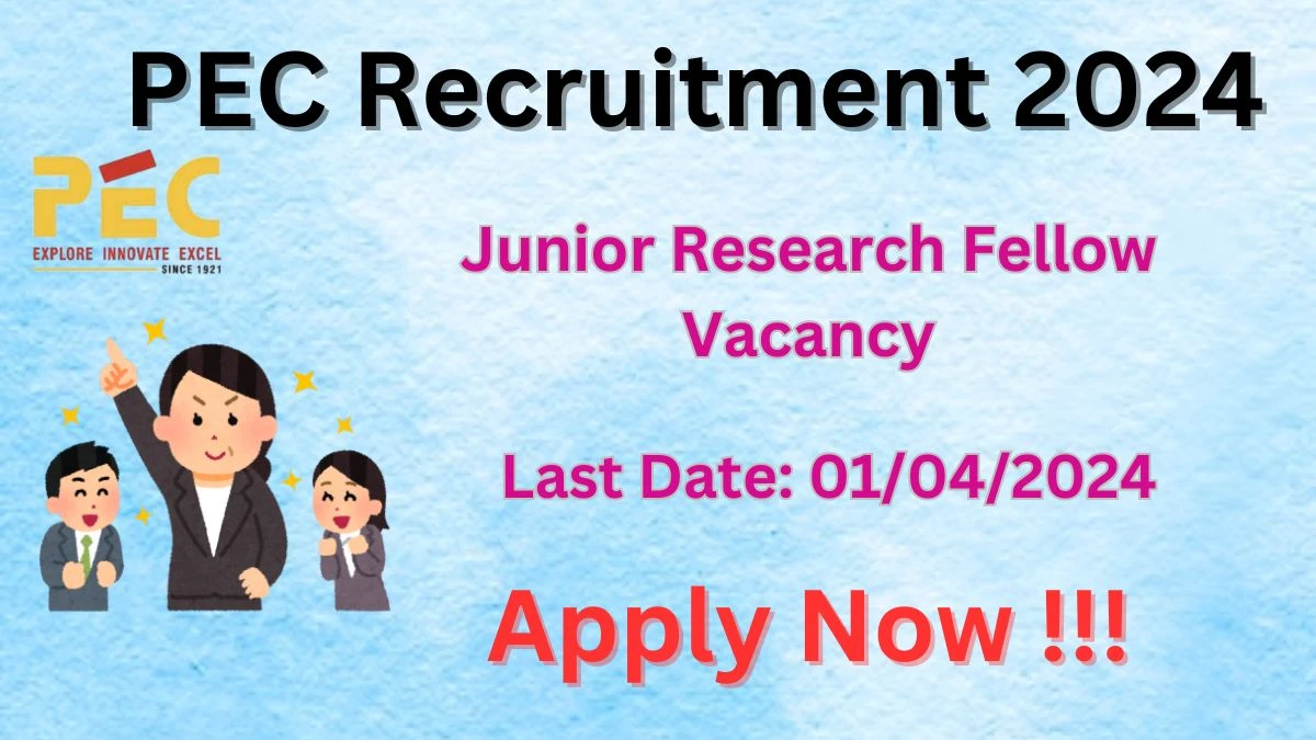 PEC Recruitment 2024: Check Vacancies for Junior Research Fellow Job Notification, Apply Online