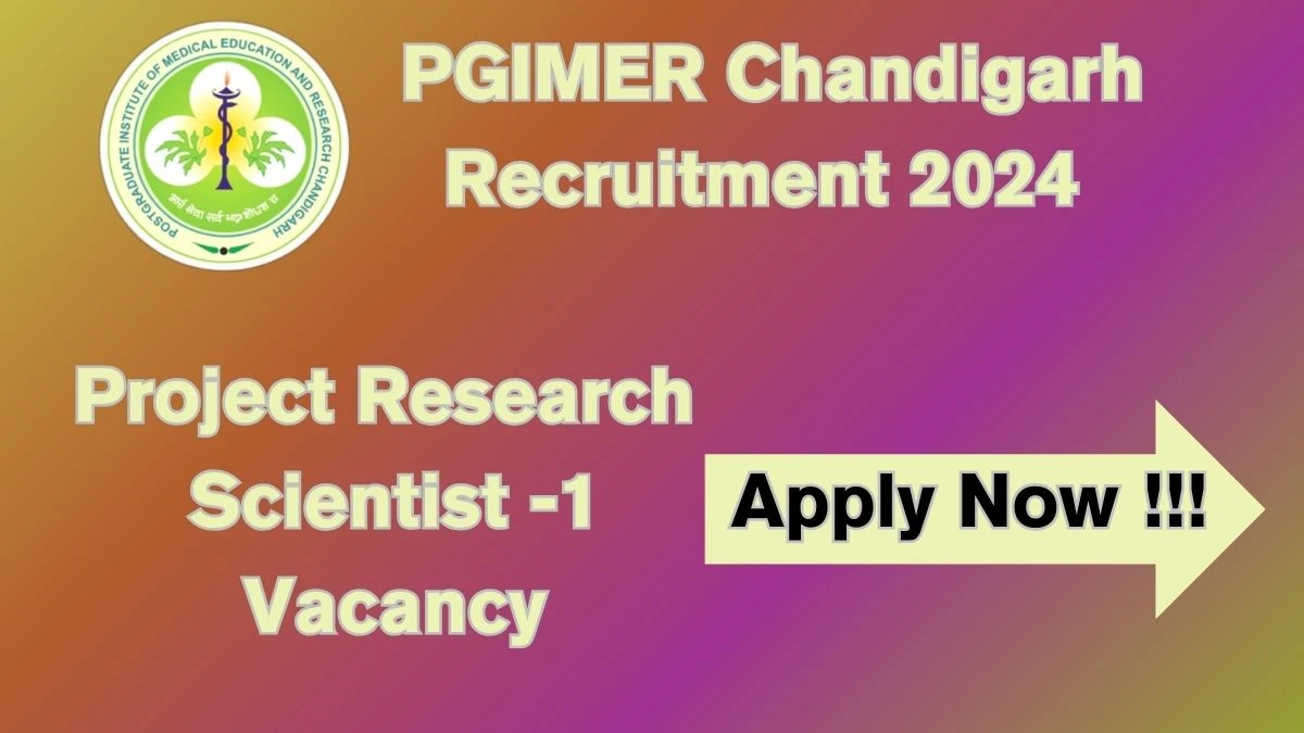 PGIMER Chandigarh Junior Research Fellow Recruitment 2024 - Monthly Salary Up to 56,000