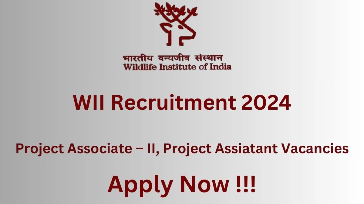 WII Recruitment 2024: Check Vacancies for Project Associate – II Job Notification