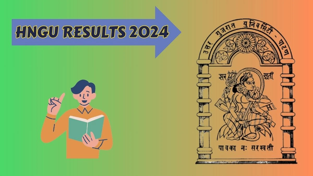 HNGU Results 2024 (Link Out) Check  T.Y.M.B.B.S. ngu.ac.in