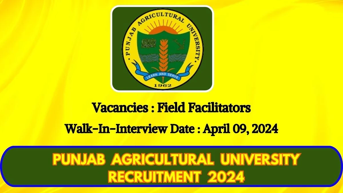 Punjab Agricultural University Recruitment 2024 Walk-In Interviews for Field Facilitators on April 09, 2024