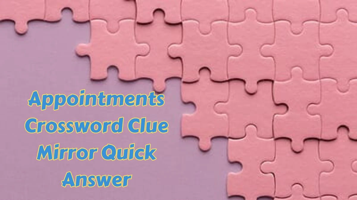 Appointments Crossword Clue Mirror Quick Answer