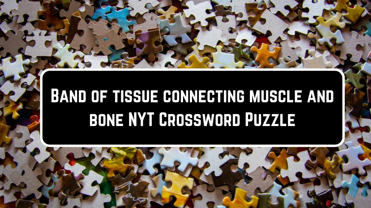 Band of tissue connecting muscle and bone NYT Crossword Puzzle Answer on June 21, 2124