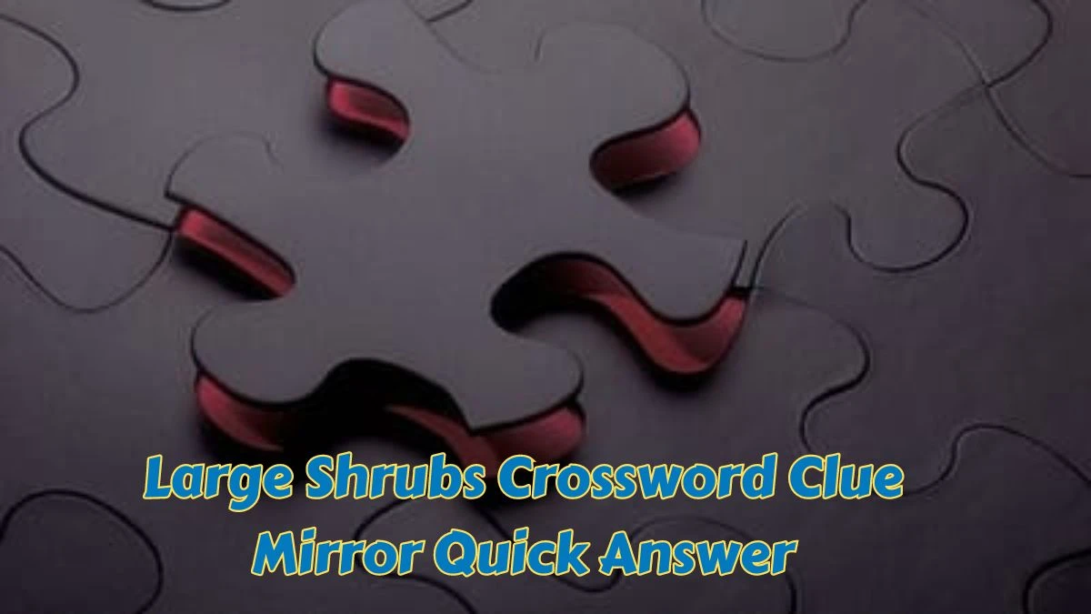 Large Shrubs Crossword Clue Mirror Quick Answer