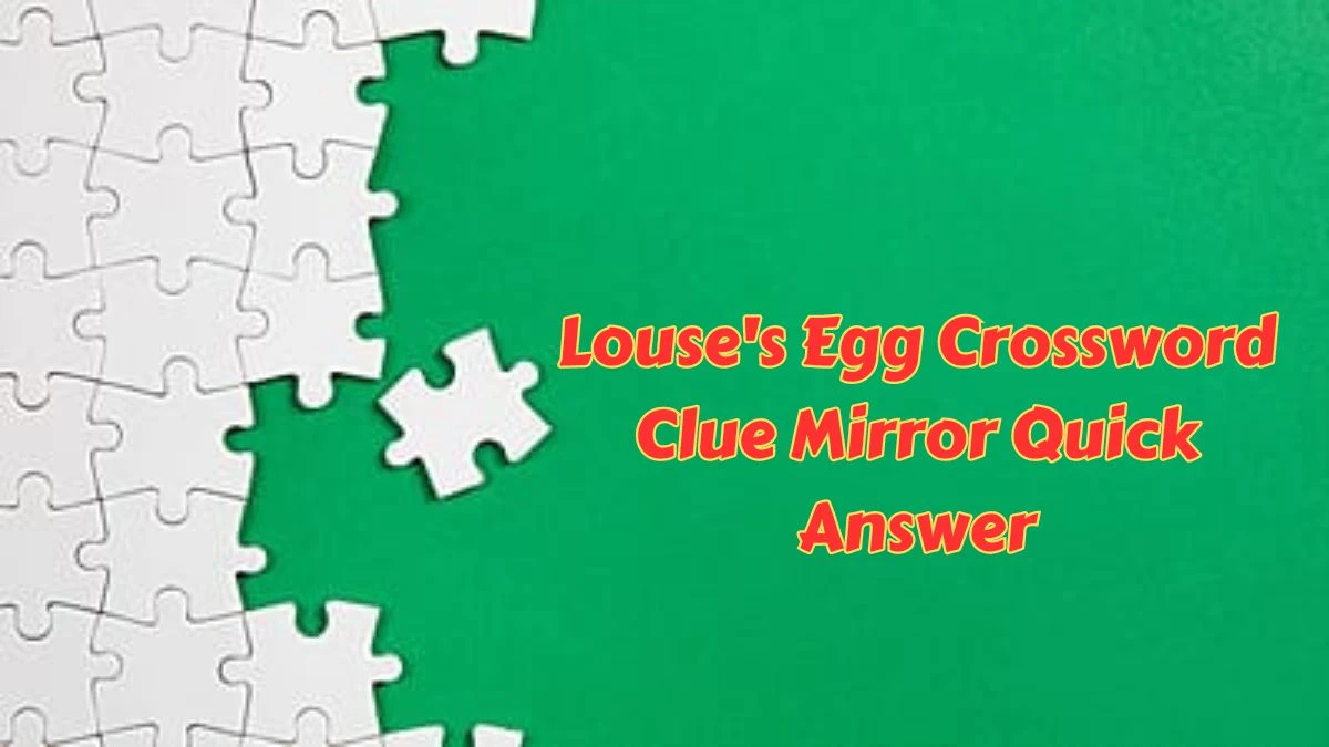 Louse's Egg Crossword Clue Mirror Quick Answer