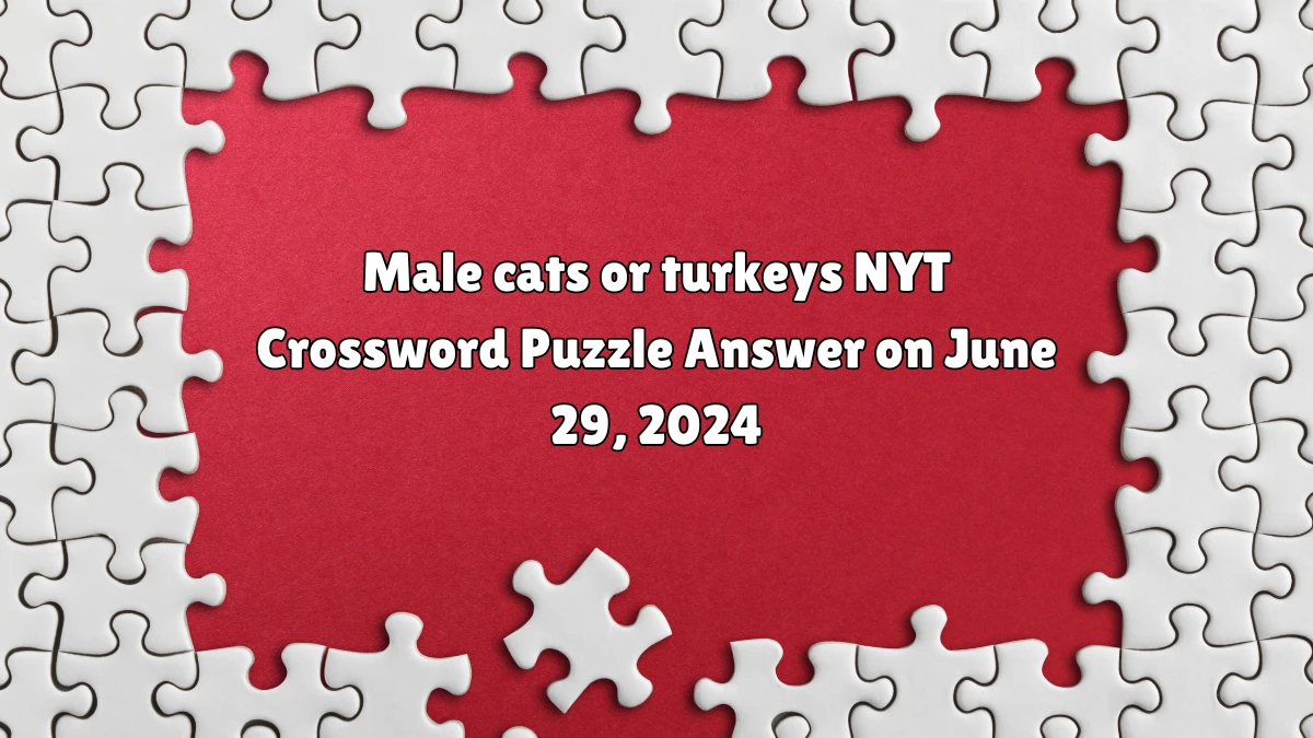 Male cats or turkeys NYT Crossword Puzzle Answer on June 29, 2024