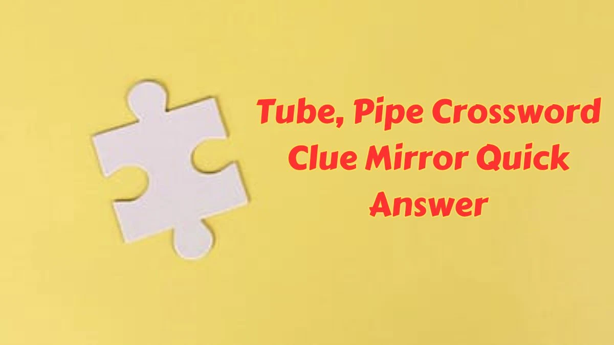 Tube, Pipe Crossword Clue Mirror Quick Answer