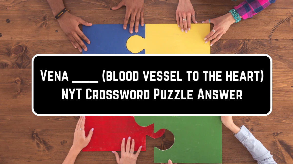 Vena ___ (blood vessel to the heart) NYT Crossword Puzzle Answer on June 20, 2024