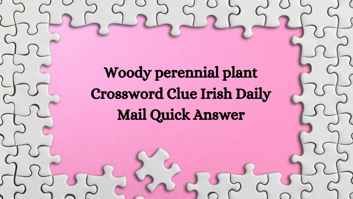 Irish Daily Mail Quick Crossword Answers Today 27.06.2024 Crossword Clue