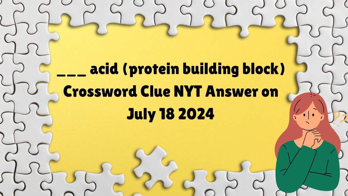 ___ acid (protein building block) NYT