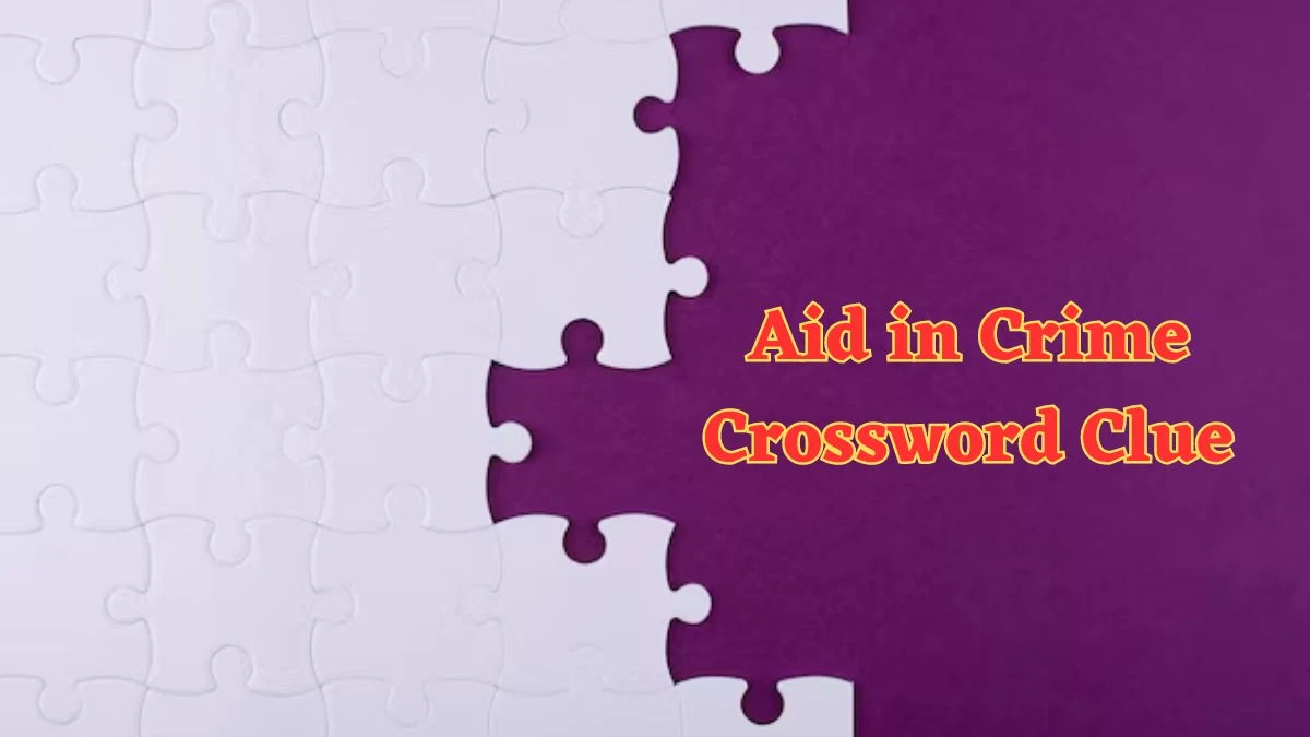 Aid in Crime Crossword Clue ​Mirror Quick Answer