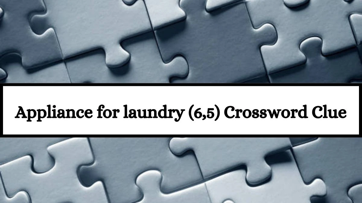 Appliance for laundry (6,5) Crossword Clue