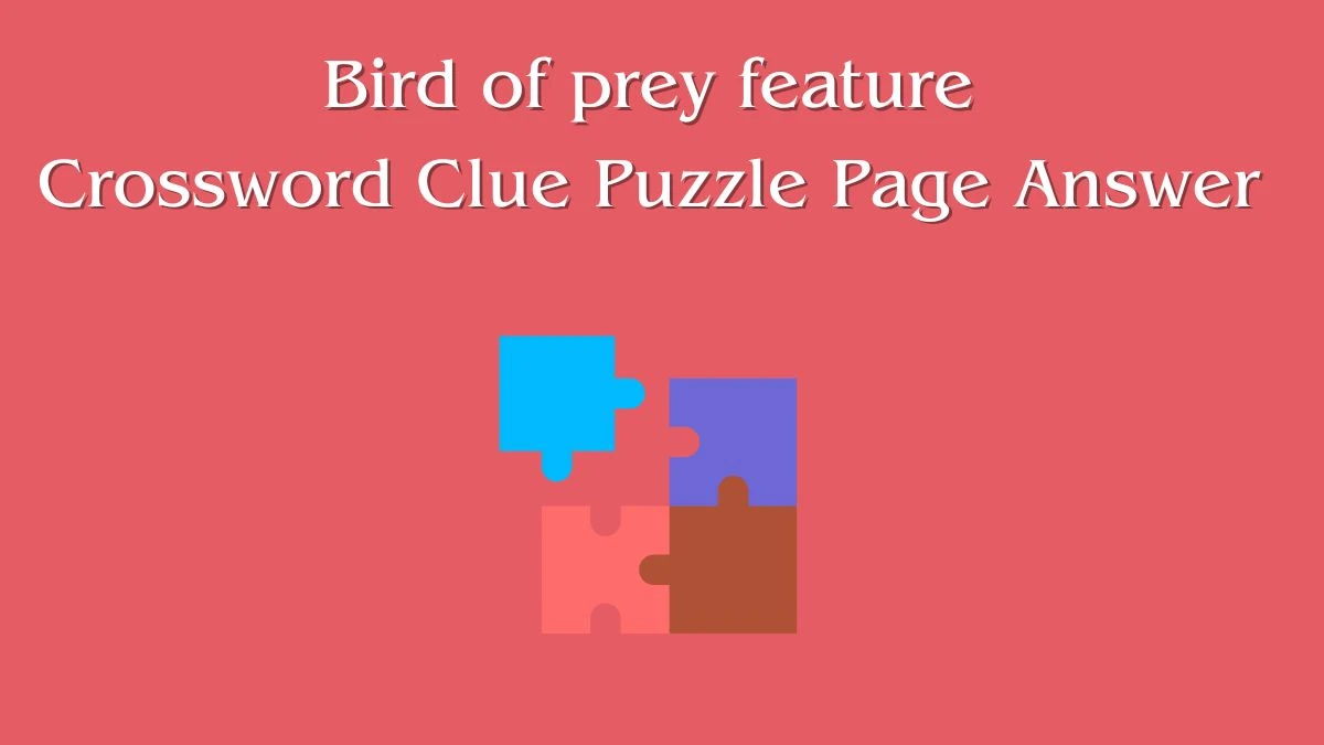 Bird of prey feature Crossword Clue Puzzle Page Answer
