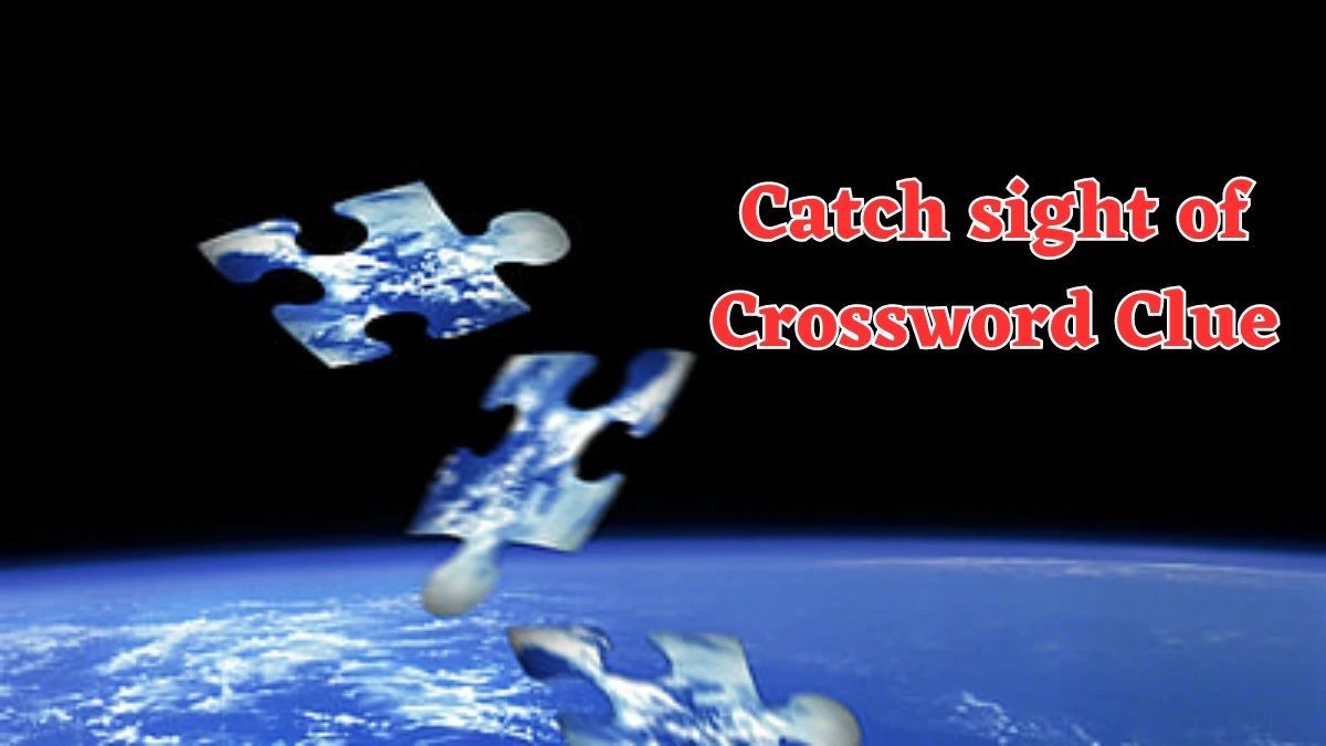 Catch sight of Crossword Clue 4 Letters