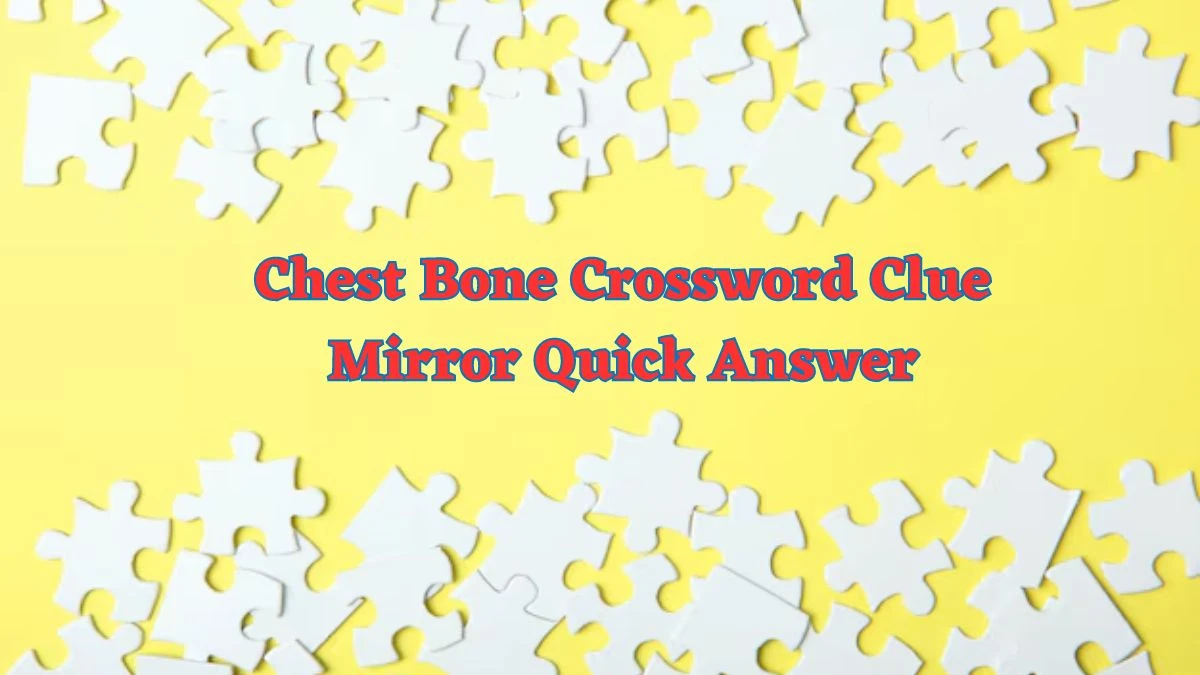 Chest Bone Crossword Clue Mirror Quick Answer