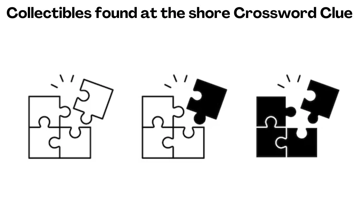 Collectibles found at the shore Crossword Clue