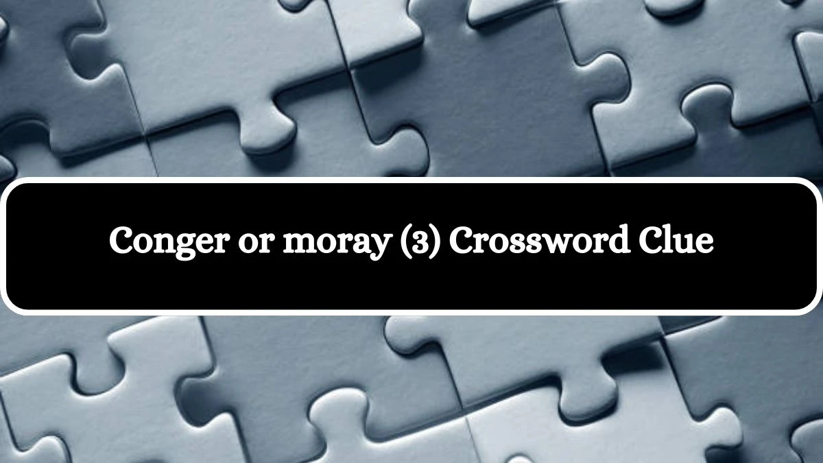 Conger or moray (3) Crossword Clue