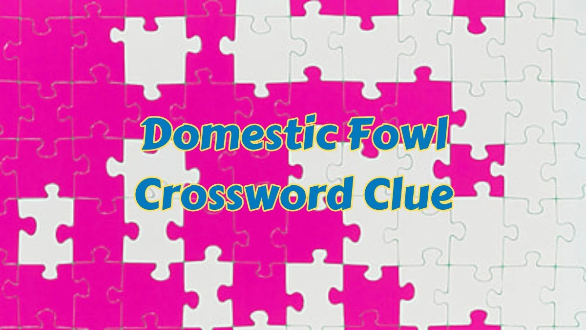 Domestic Fowl Crossword Clue 3 Letters