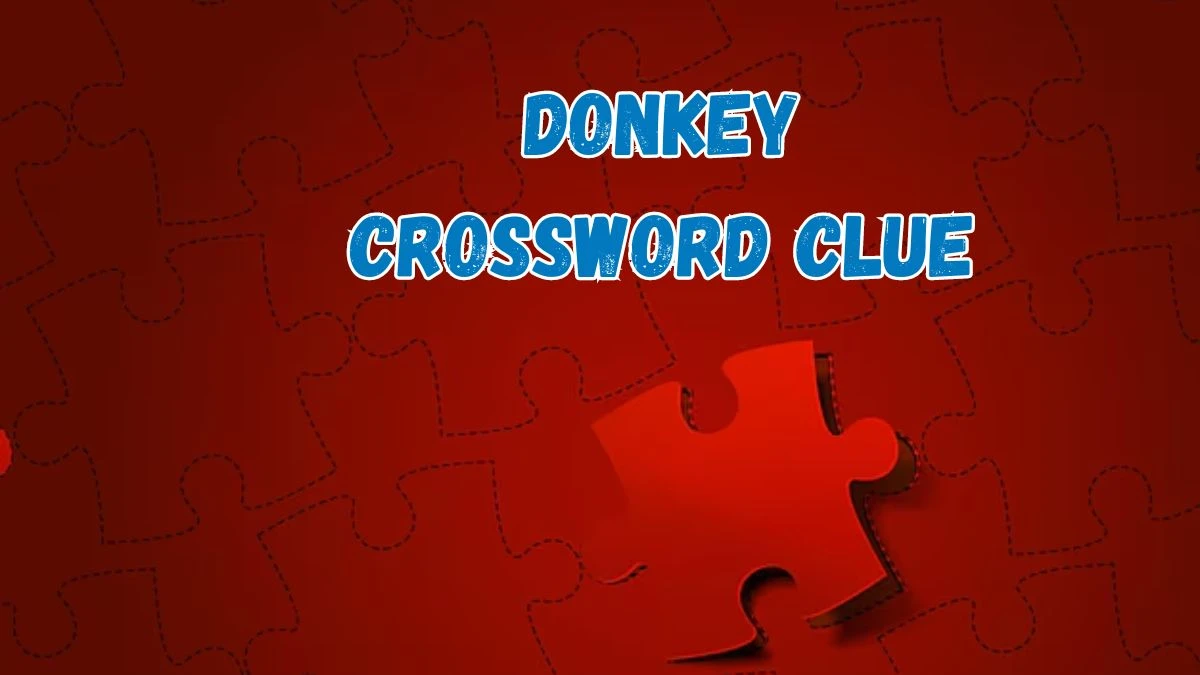 Donkey Crossword Clue 3 Letters