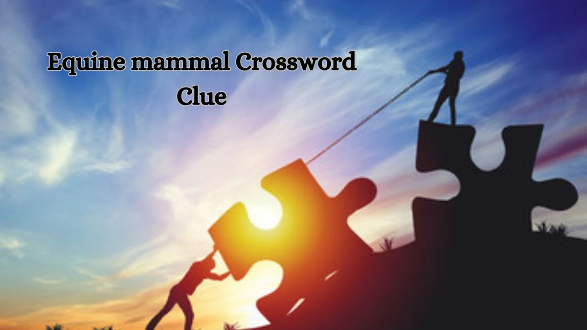 Equine mammal Crossword Clue 5 Letters