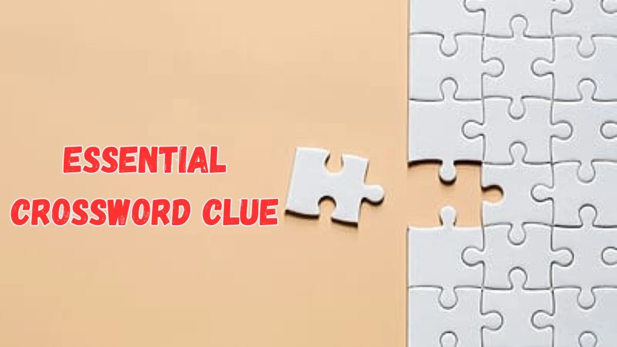 Essential Crossword Clue 5 Letters