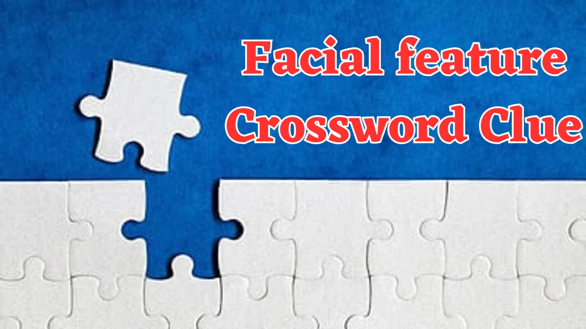 Facial feature Crossword Clue 3 Letters