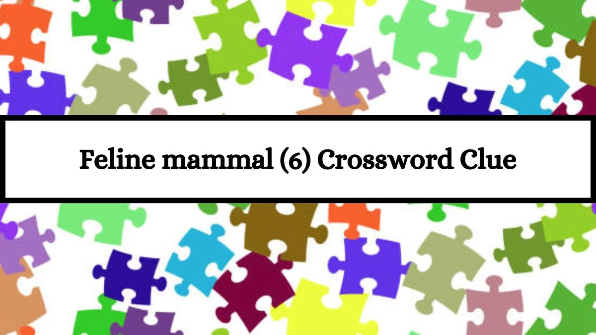 Feline mammal (6) Crossword Clue